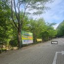 휴양림 관리사무소 화장실 | 대전 근교계곡 금산 남이자연휴양림 이용팁 평상·주차·숲길 후기 정리