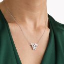 와일드 플라워 이미지