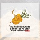 마카트레이닝