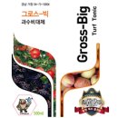 진토피아