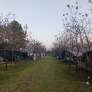 춘천 호반 펜션 이미지