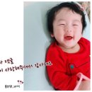 식자재쇼핑몰 이제 집으로 배달하는 농산물 모시잎송편 쌀 [ 군산팜 ]
