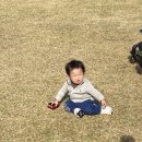 붐붐붕 네이버블로그