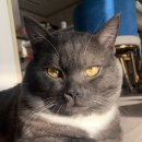 만세동물병원 이미지