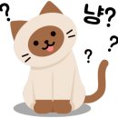 주정차59 이미지