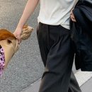 데일리민디 이미지