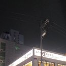 드럼통고양이 | 부산 맛집 / 웨이팅하는 서면맛집 까치 솥뚜껑 닭도리 본점 내돈내산 솔직 후기