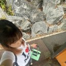 이래도안올래 | 아 기다리고 아 기다리던 완전체 콘서트라네요