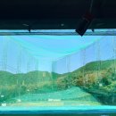 진해 골프랜드 이미지