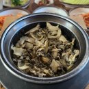 모슬포한라전복 이미지