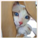 아이조아 요양보호소 경기광주 이미지