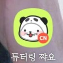 쨔요 이미지