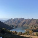 초원한우농장 | 춘천 해피 초원 목장 🐑🥕 | 아기와 갈만한 곳 추천 | 춘천 아기랑 갈만한 곳 | 아기랑 강원도