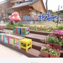 정남진 편백숲 우드랜드 | [전라남도] 장흥 정남진 편백숲 우드랜드