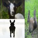 하이그린 농장 이미지