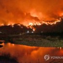 호산삼거리주유소 이미지