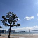 피자돈까스 또래오래(송정점) | [부산 기장 아난티] 아난티 부산 앳 코브 - 내돈내산 부산 숙소 호캉스 추천 (+톤쇼우 광안점, 깡통시장...