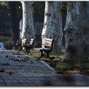 대학교 익산캠퍼스 이미지