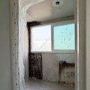 창신로 | [공지] 청주 탄성코트 시공 과정과 솔직 후기, 겨울철 곰팡이와 결로