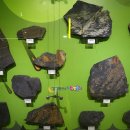 태백고생대자연사박물관 이미지