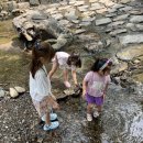 담소원펜션 | 전북 임실군 성수산 왕의숲 자연휴양림 수영장 놀이터 가성비 미친곳