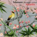 Telemann: Duo Sonata &amp; Trio Sonata 이미지