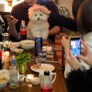 록담 | [애월 인기척/제주시 피크엔드] 제주도 게스트하우스 내돈내산 솔직후기