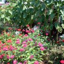 하늘빛 바다 이미지