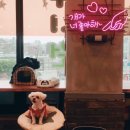 모찌네호캉스 이미지