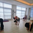 벨리댄스(취미) | 광주 벨리댄스 수업 후기! 여성 운동&amp;다이어트에 최고!