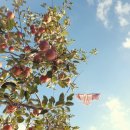 태송농장 이미지