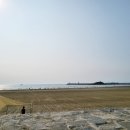 오구시포펜션