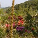효도얼음집