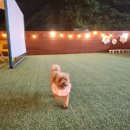 인더헬로우