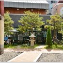 대구 약령시장 이미지