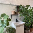 리틀오스 이미지