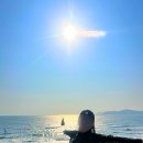 디오 - 고양시 덕양구 충경로 151 | 부산 해운대 실내 데이트 가볼만한곳 클럽디오아시스 후기