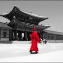 Colors of Korea 이미지