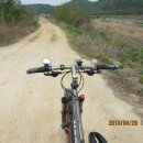 여주-0077 Daum카페