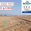 신대림공인중개사사무소 이미지