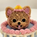 pit a pet (핏어펫) 이미지