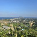 시흥리-8 이미지