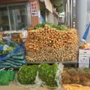 정일상회 이미지