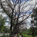 고복자연공원 수변 길 이미지