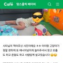 차일드 도담 베이비시터