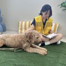애경 동물병원 이미지