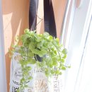 이마트24R효성점 이미지