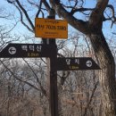 무릉도원면-51 이미지