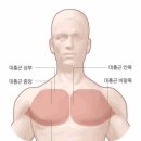 비포엑스 휘트니스 이미지
