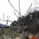 세정농장 이미지